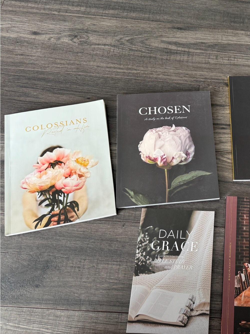 Daily Grace Co Devotional Bundle